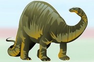 Traduction Américain de la paléontologie