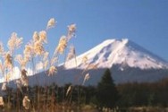 Dictionnaire Japonais